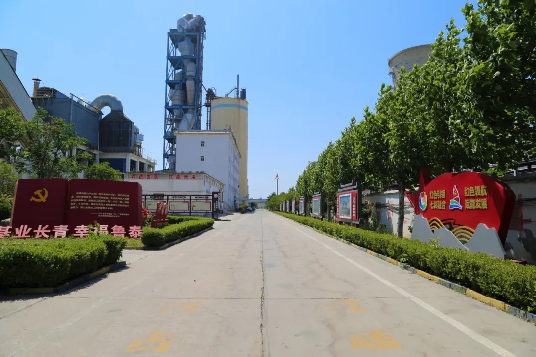 1774317352985858.jpg